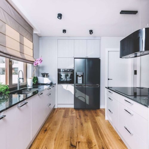 Modern kitchen interior design