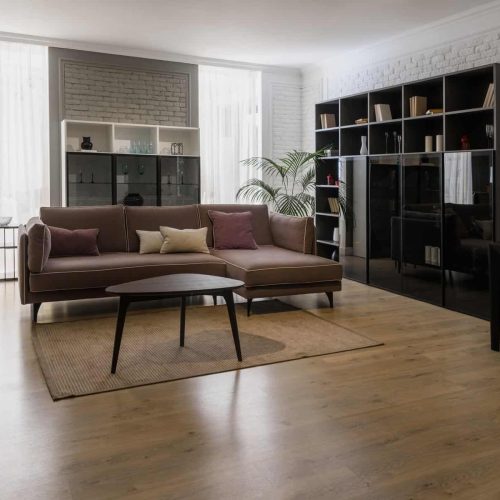 Modern renovated living room with stylish furniture